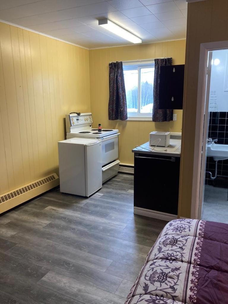 Pine Ridge Motel 蒂明斯 外观 照片